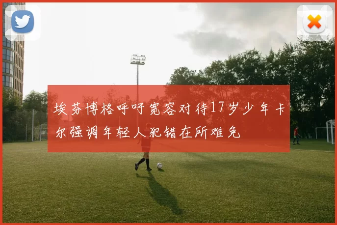 埃芬博格呼吁宽容对待17岁少年卡尔强调年轻人犯错在所难免